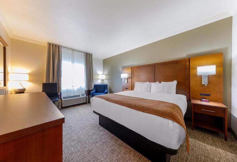 스탠다드 룸 킹사이즈 침대, Comfort Inn Near University