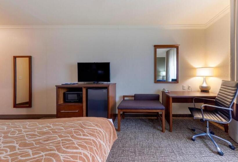 스탠다드 룸, Comfort Inn Near University