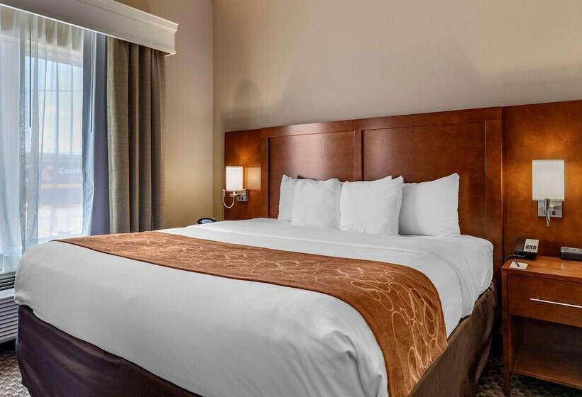장애인을 위한 스위트, Comfort Suites Near Texas A&m   Corpus Christi