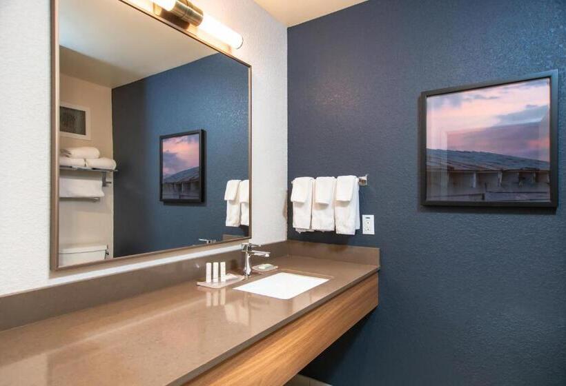 Номер Стандарт, Fairfield Inn & Suites Rapid City