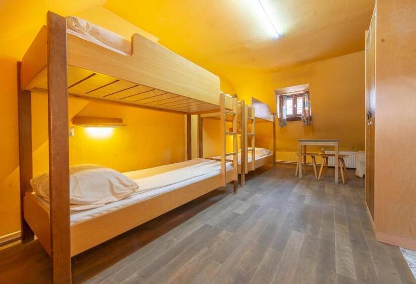 Bed in Shared Room with Shared Bathroom, Burg Hostel Sighisoara
