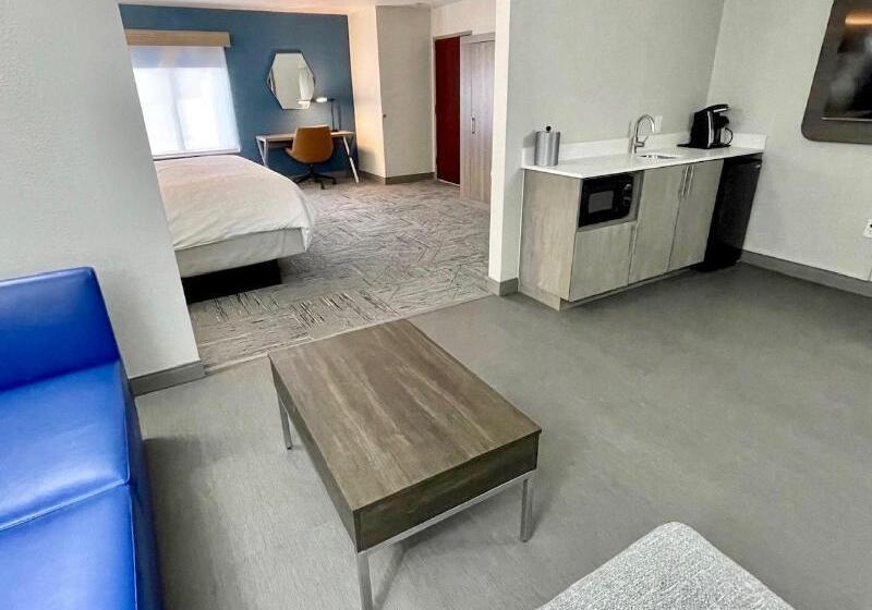 Люкс Кровать Кинг, Holiday Inn Express & Suites   Tuscaloosa University, An Ihg