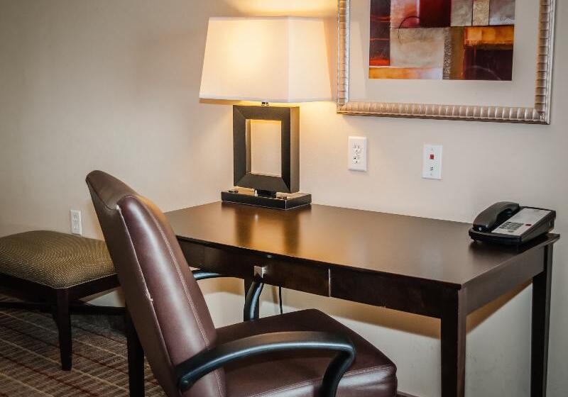 חדר סטנדרט עם מיטת קינג, Doubletree By Hilton Sulphur Lake Charles