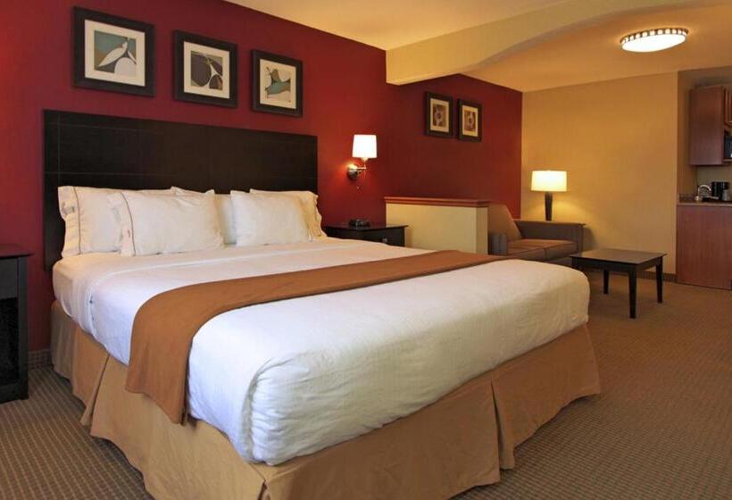Стандартный Номер Кровать Кинг, Holiday Inn Express Hotel & Suites Defiance, An Ihg