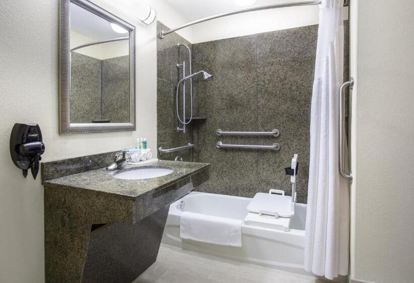 장애인을 위한 스위트, Holiday Inn Express Hotel & Suites Pauls Valley By Ihg