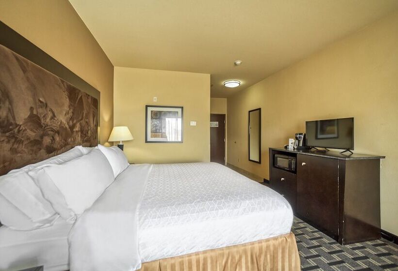 סוויטה מותאמת לאדם עם מוגבלויות, Holiday Inn Express Suites Beeville By Ihg