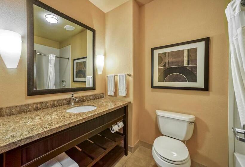 חדר סטנדרט עם מיטת קינג, Holiday Inn Express Suites Beeville By Ihg