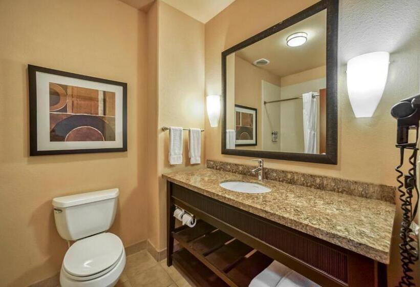 סוויטה מותאמת לאדם עם מוגבלויות, Holiday Inn Express Suites Beeville By Ihg