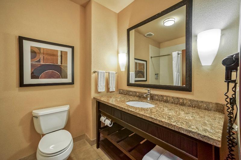 장애인을 위한 킹사이즈 침대 스탠다드 룸, Holiday Inn Express Suites Beeville By Ihg