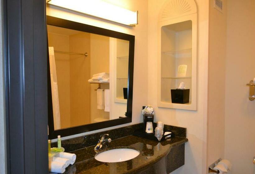 Президентский Люкс, Holiday Inn Express Hotel And Suites   Odessa, An Ihg