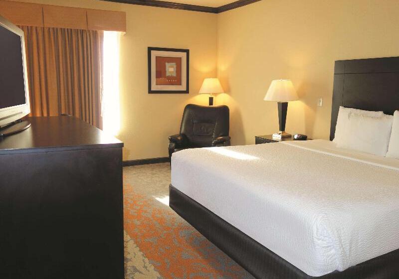 Номер Стандарт Адаптированный для Инвалидов, Holiday Inn Express Hotel & Suites Ennis, An Ihg