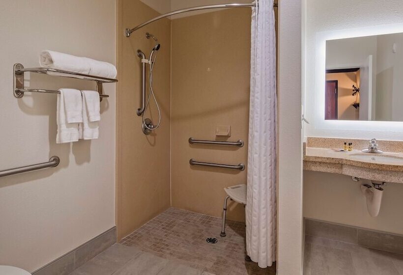 Люкс Адаптированный для Инвалидов, Best Western Plus Daphne