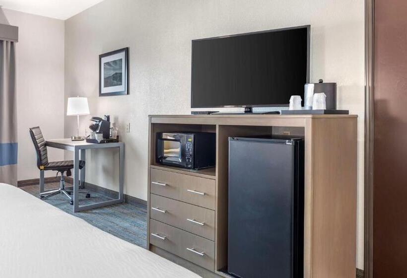 Номер Стандарт Кровать Кинг Адаптированный для Инвалидов, Best Western Plus Stephenville Inn