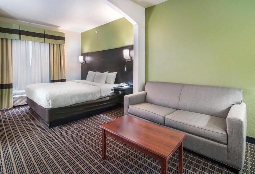 스위트 킹사이즈 침대, Clarion Inn & Suites Weatherford South