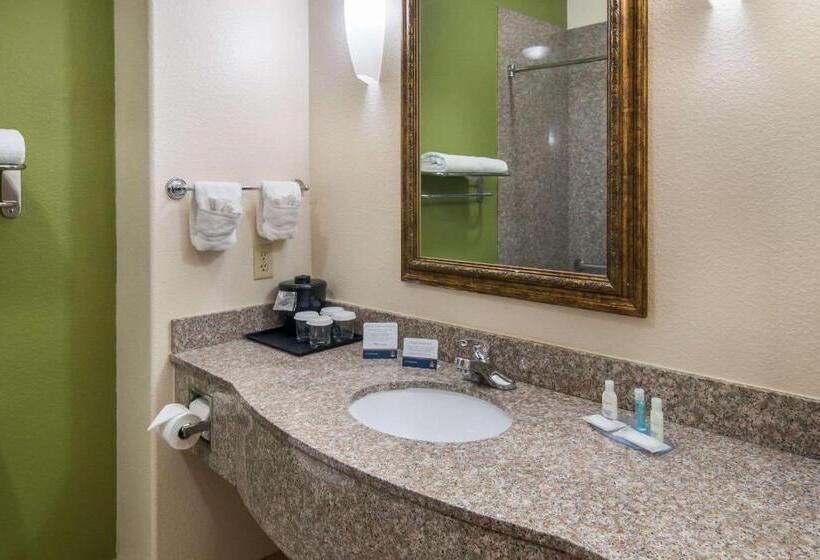 스탠다드 룸 킹사이즈 침대, Clarion Inn & Suites Weatherford South