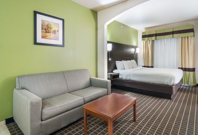스위트, Clarion Inn & Suites Weatherford South