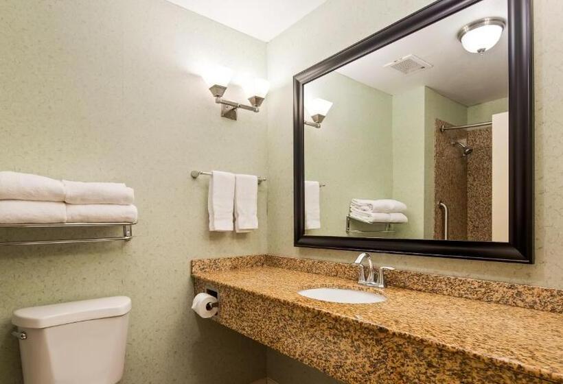 Люкс Адаптированный для Инвалидов, Comfort Suites Seabrook - Kemah