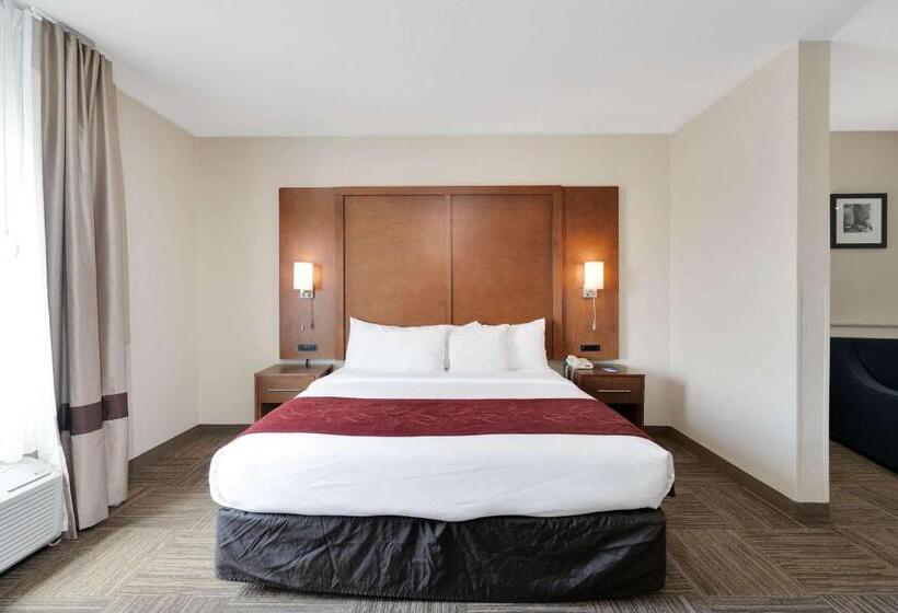 سوئیت برای معلولان, Comfort Suites University