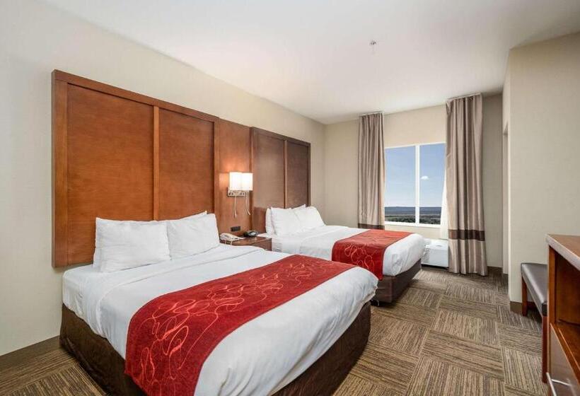 سوئیت برای معلولان, Comfort Suites University