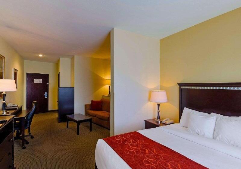سوئیت با تخت بزرگ, Comfort Suites University