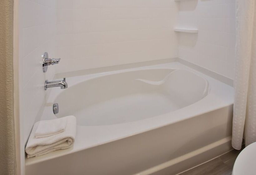 Люкс, Holiday Inn Express Hotel And Suites Katy, An Ihg