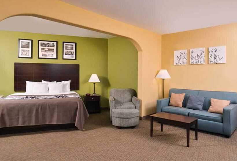 スイート, Sleep Inn And Suites Downtown Houston