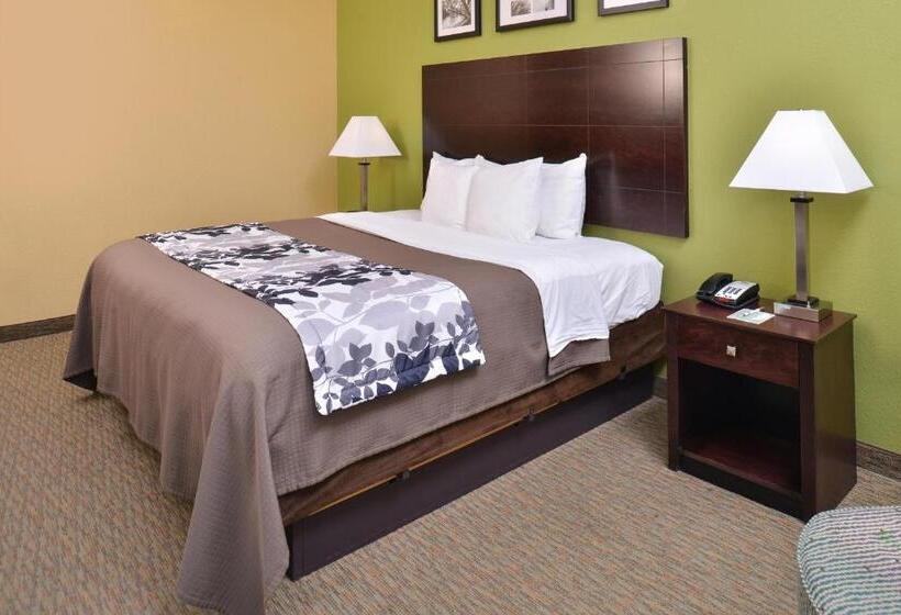 キングサイズベッドのスタンダードルーム, Sleep Inn And Suites Downtown Houston
