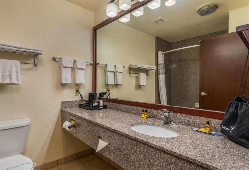 Номер Стандарт, Best Western Plus Shamrock Inn & Suites