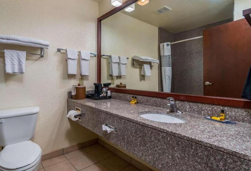Люкс Кровать Кинг, Best Western Plus Shamrock Inn & Suites