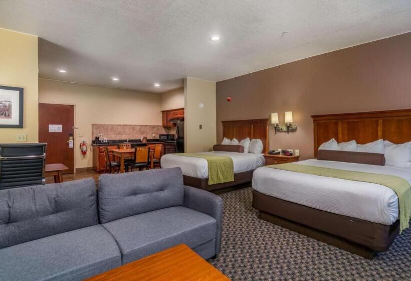 Номер Стандарт Кровать Квин Адаптированный для Инвалидов, Best Western Plus Shamrock Inn & Suites