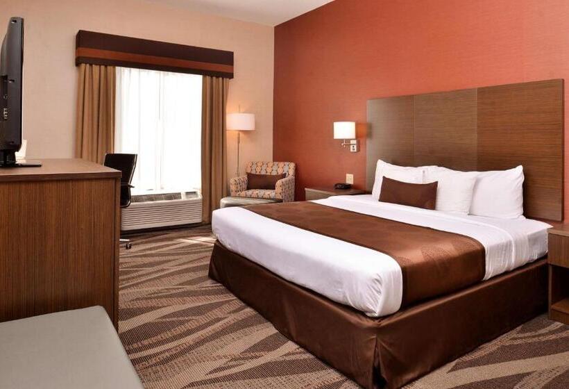 带大床的标准间, Best Western Plus University Inn