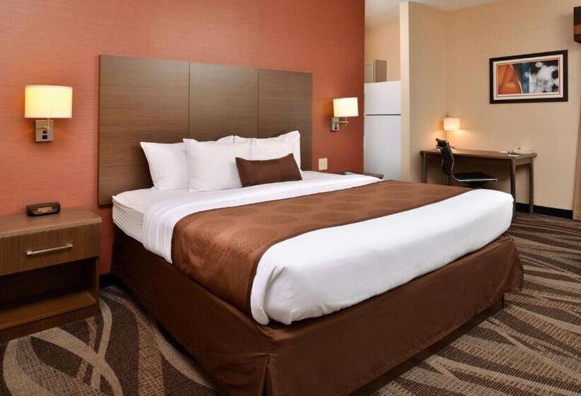 带大床的标准间, Best Western Plus University Inn