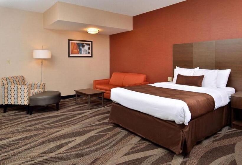 带大床的标准间, Best Western Plus University Inn