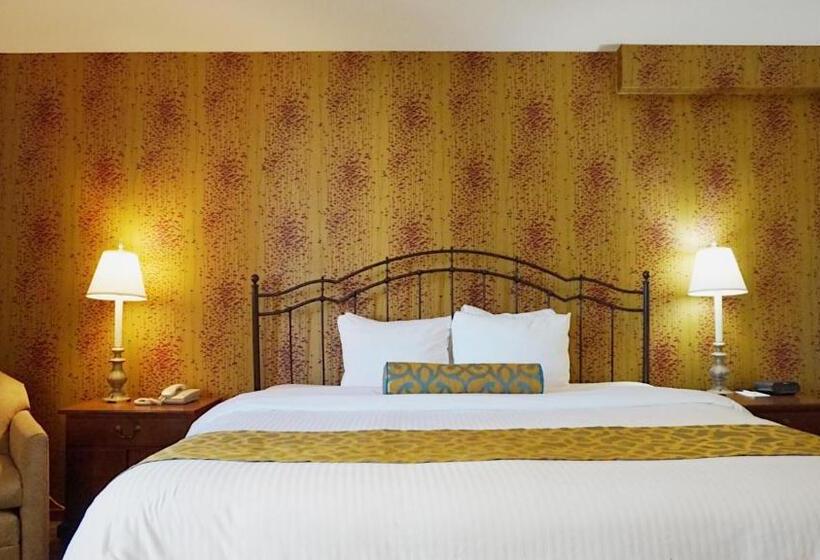 اتاق استاندارد با تخت بزرگ, Best Western Queens Court