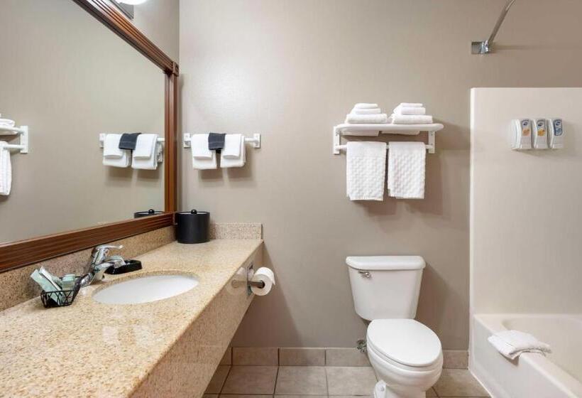 Стандартный Номер Кровать Кинг, Best Western Wheatland Inn