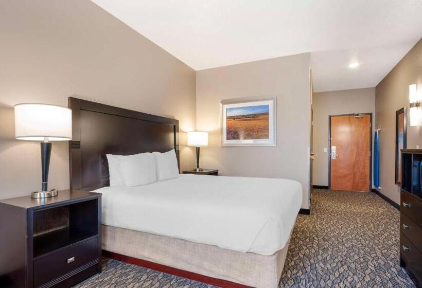 Номер Стандарт Кровать Кинг Адаптированный для Инвалидов, Best Western Wheatland Inn