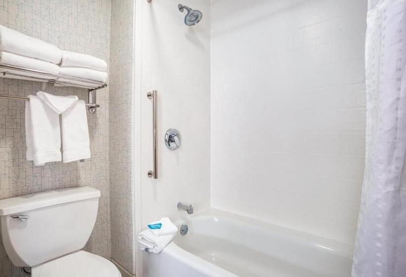 스탠다드 룸, Holiday Inn Express Wisconsin Dells, An Ihg