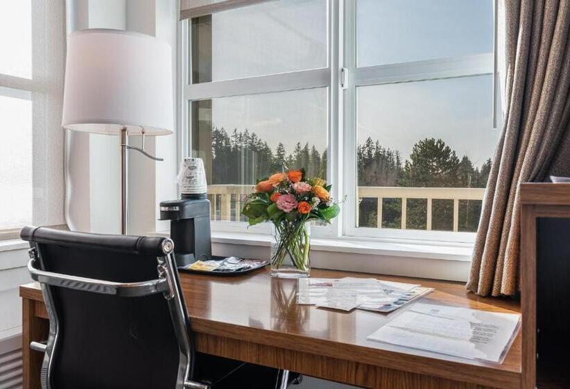 מיטת קינג בסוויטה, Marshall Suites