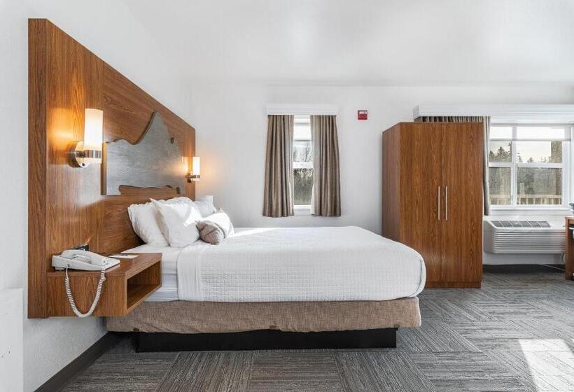 מיטת קינג בסוויטה, Marshall Suites