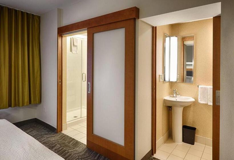 스위트 킹사이즈 침대, Springhill Suites By Marriott Albany Latham Colonie