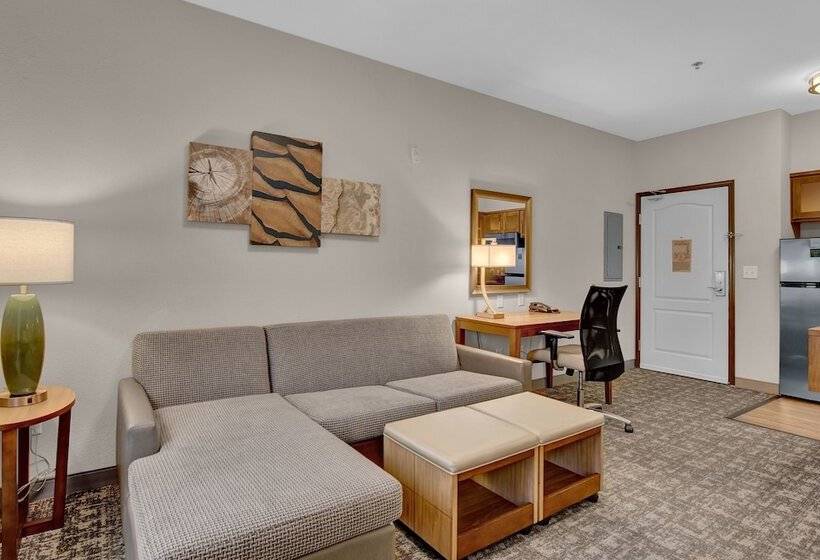 Студия Стандарт, Staybridge Suites Salt Lake West Valley City, An Ihg