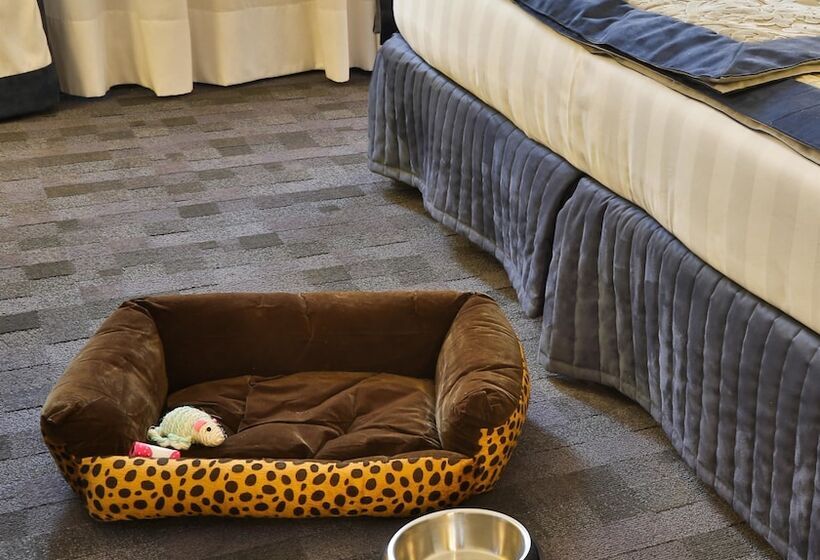 سوییت جونیور, Best Western Plus Borgolecco