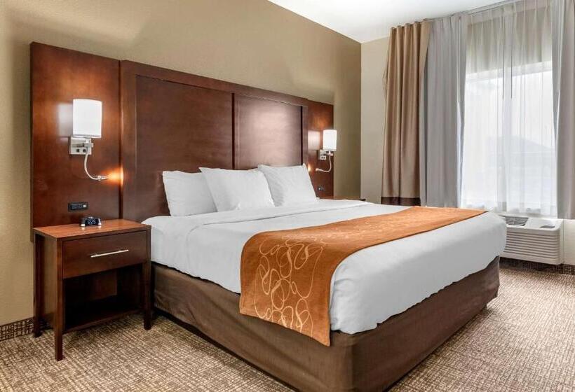 Люкс Кровать Кинг, Comfort Suites Auburn Near I69