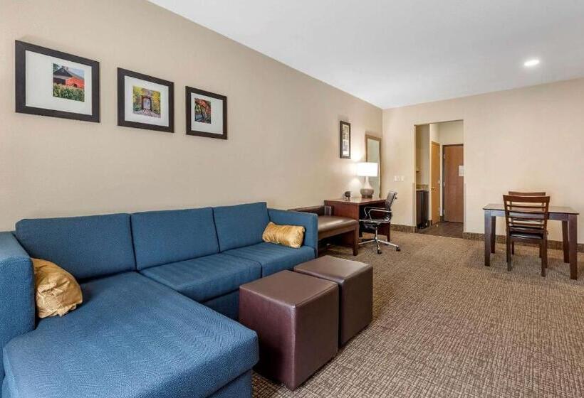 스위트 킹사이즈 침대, Comfort Suites Auburn Near I69