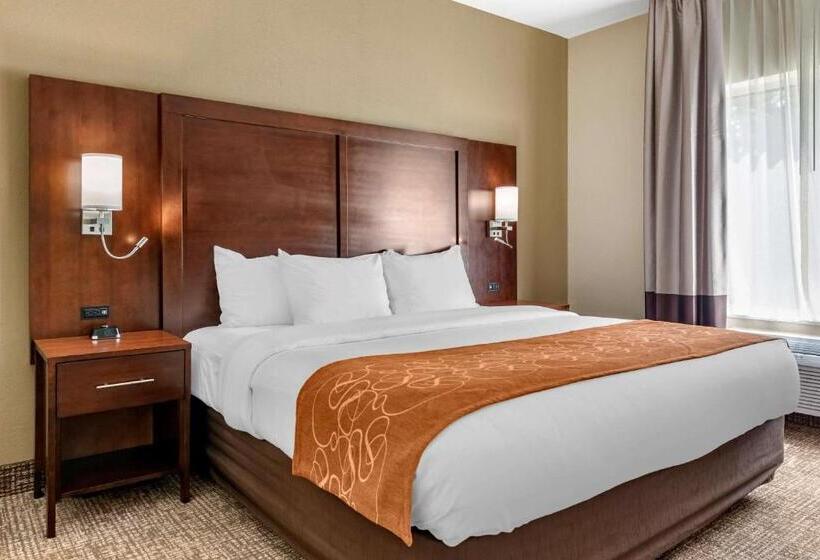 Люкс Кровать Кинг, Comfort Suites Auburn Near I69