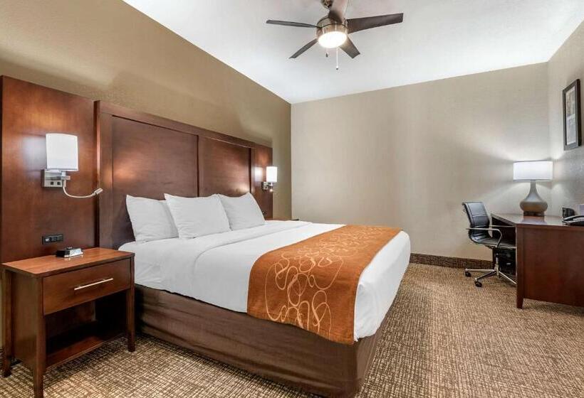 Семейный Номер, Comfort Suites Auburn Near I69