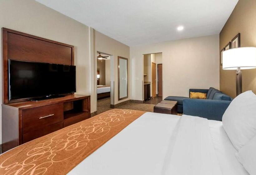패밀리 룸, Comfort Suites Auburn Near I69