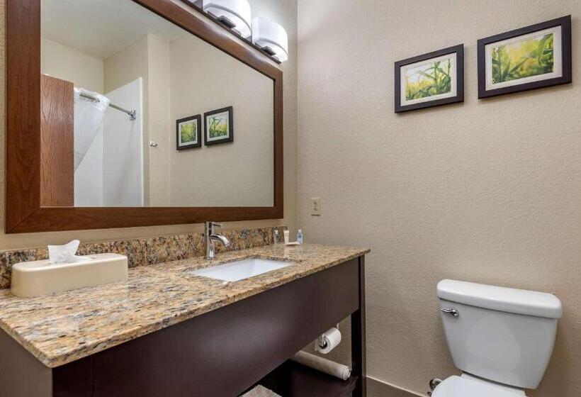 Семейный Номер, Comfort Suites Auburn Near I69