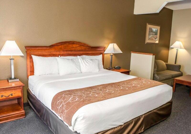 스위트 킹사이즈 침대, Comfort Suites Auburn Near I69