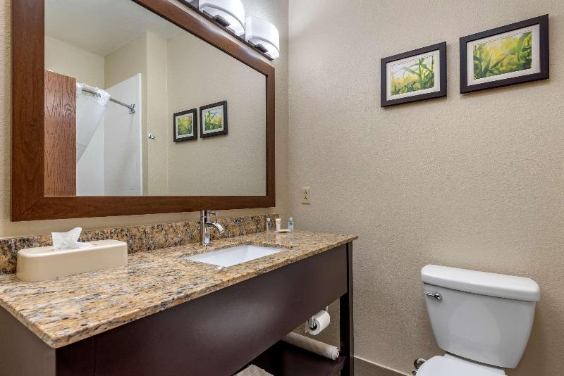 Люкс Кровать Кинг, Comfort Suites Auburn Near I69
